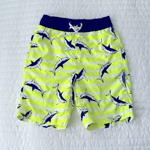 Boy’s Striped Shark Print Swim Trunks